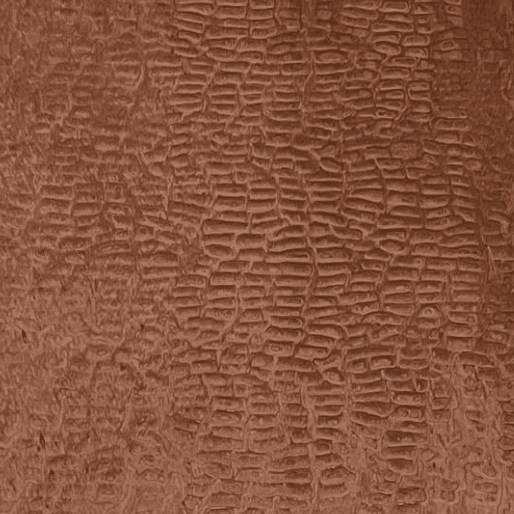 Specialty Veneers TV-3488