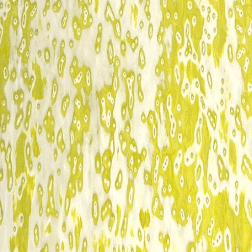 Specialty Veneers TV-8835